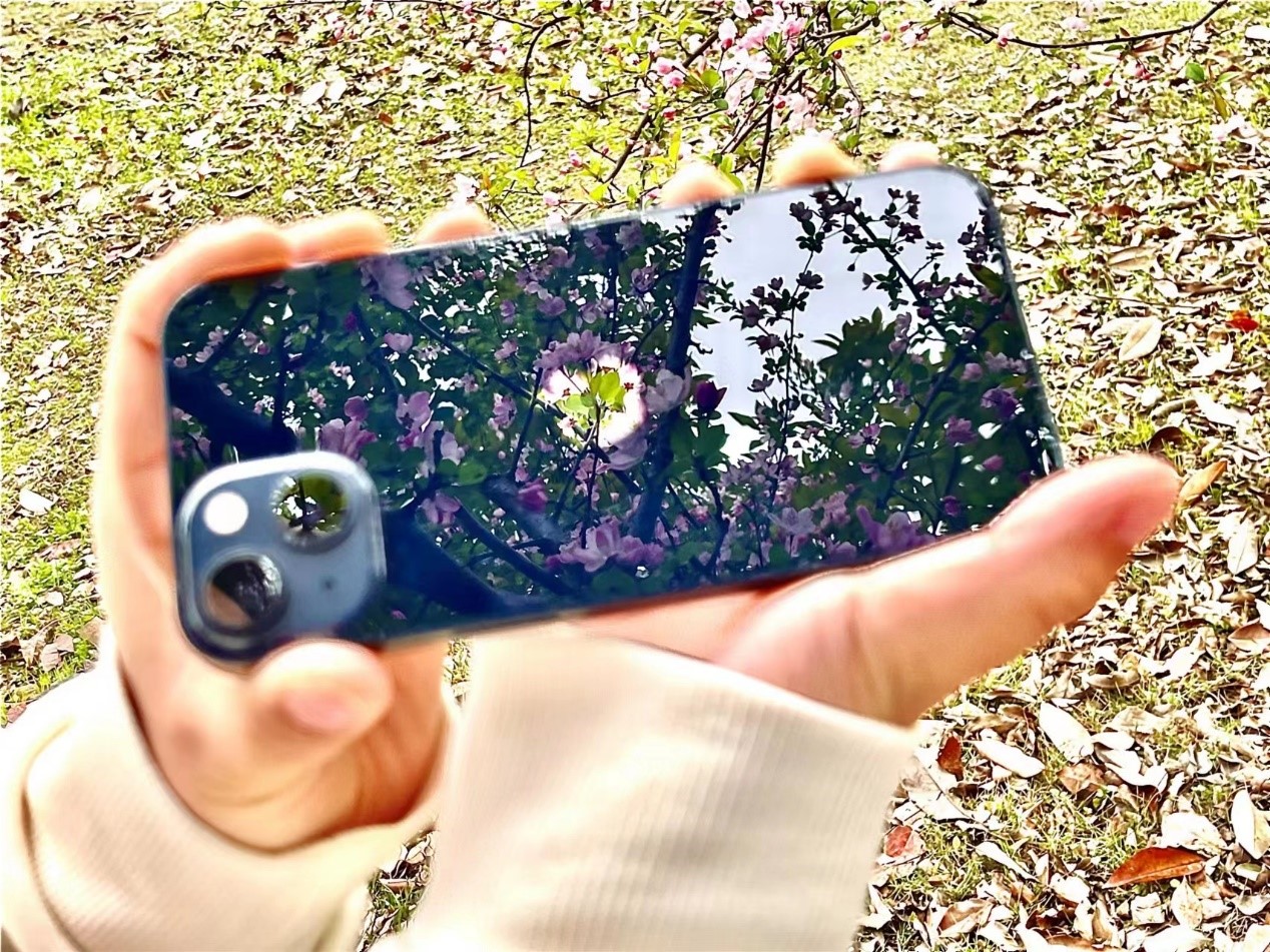 tyc41183太阳成集团