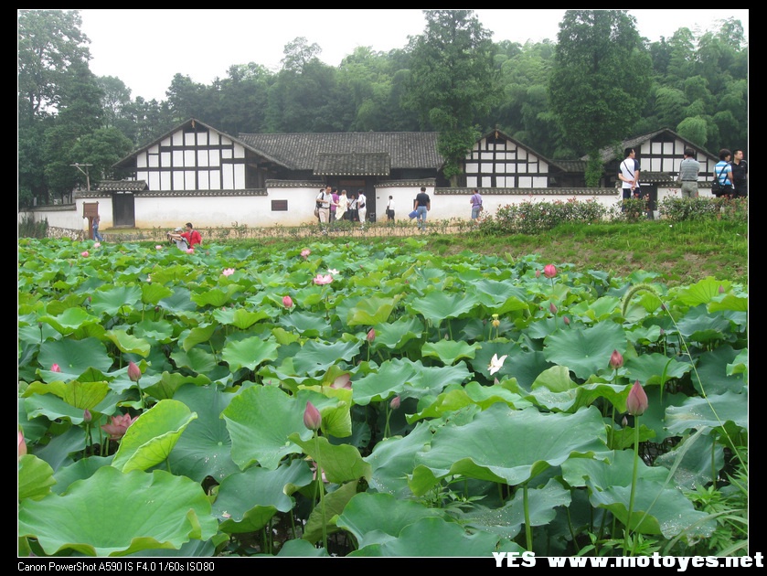 tyc41183太阳成集团